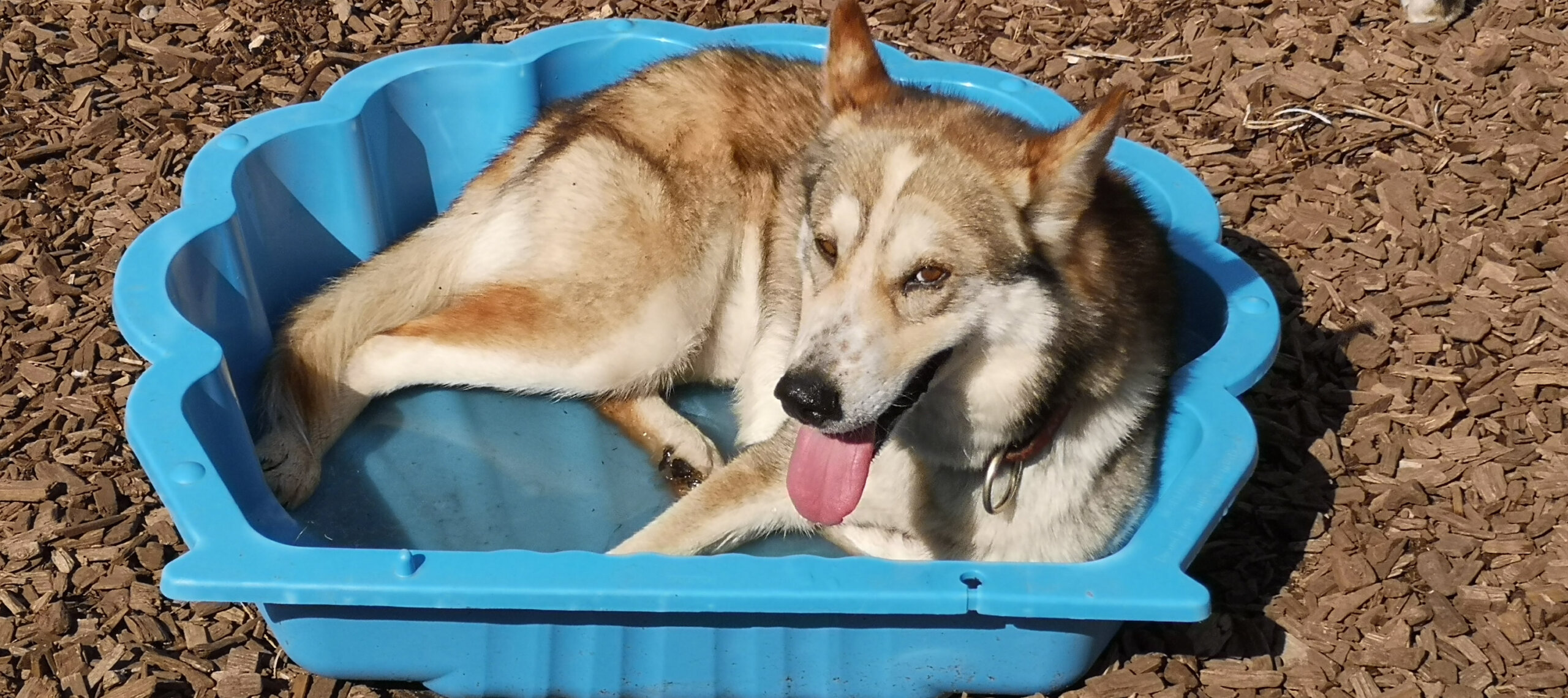 Huskystuff GmbH