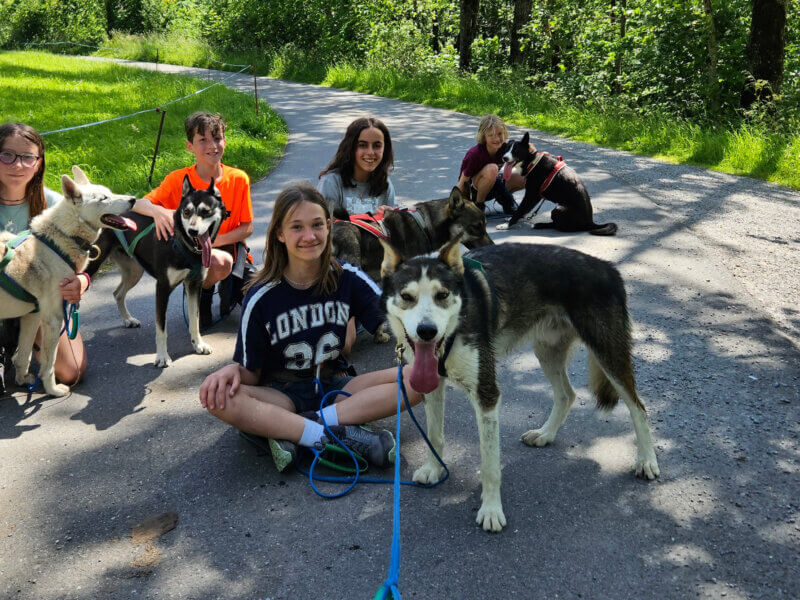 Schüler mit Huskys