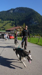 huskystuff-aktivitäten_blog-201609254-huskytrekking 