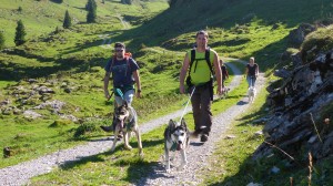 huskystuff-aktivitäten_blog-201609254-zughunde-trekking.JPG  