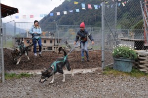 20161917-huskyfarm-workcamp-18  