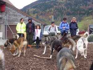 huskystuff-aktivitäten-blog-20161105-ankommen  