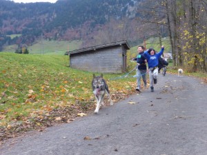 huskystuff-aktivitäten-blog-20161105-dynamisch  