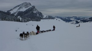 huskystuff-blog-news-20161113-schlittenhundetour