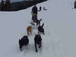 huskystuff-blog-news-20161113-teams