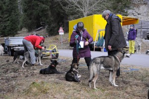 huskystuff-aktivitäten-blog-20161218-wagen-tages-tour-02    