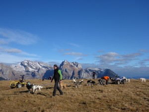 huskystuff-aktivitäten-blog-20161218-wagen-tages-tour-05    