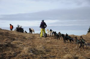 huskystuff-aktivitäten-blog-20161218-wagen-tages-tour-11    