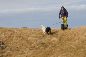 huskystuff-aktivitäten-blog-20161218-wagen-tages-tour-13    