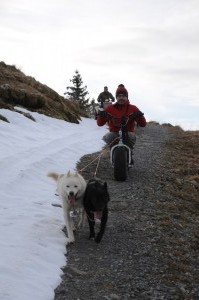 huskystuff-aktivitäten-blog-20161218-wagen-tages-tour-14    