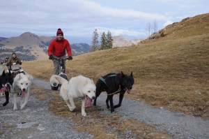 huskystuff-aktivitäten-blog-20161218-wagen-tages-tour-16    