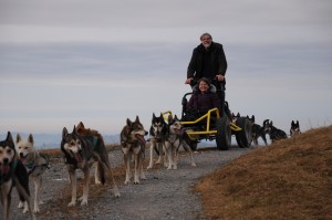 huskystuff-aktivitäten-blog-20161218-wagen-tages-tour-18    