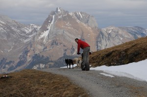 huskystuff-aktivitäten-blog-20161218-wagen-tages-tour-21    