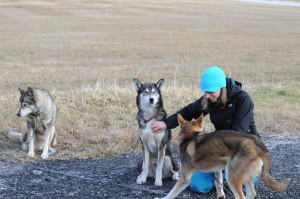 huskystuff-aktivitäten-blog-20161224-hm-huskyfahrt-06 