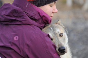 huskystuff-aktivitäten-blog-20161224-hm-huskyfahrt-08 