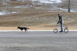 huskystuff-aktivitäten-blog-20161224-hm-huskyfahrt-14 