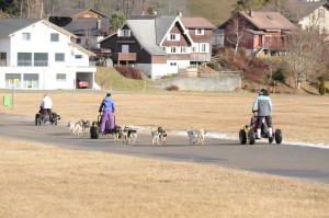 huskystuff-aktivitäten-blog-20161224-hm-huskyfahrt-15 