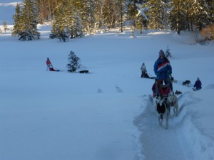 huskystuff-aktivitäten-blog-20170121-htt-02