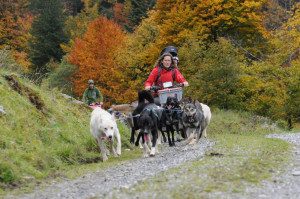 huskystuff-aktivitäten-blog-20171001-huskywagenfahrt-04  