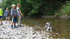 huskystuff-aktivitäten-blog-20180813-huskysommercamp-01  