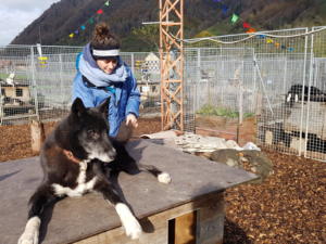 huskystuff-blog-hinde der kulisse-20191101-mortus