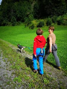 huskystuff-blog-hunde-20230927-camp-trekking