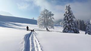 Winterwunderland