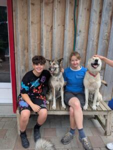 Die Bänkli-Plätze sind beliebt